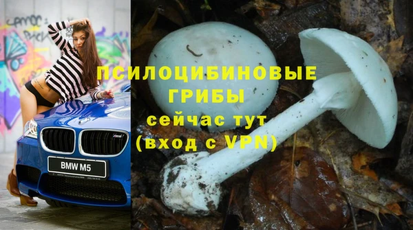 хмурый Богданович