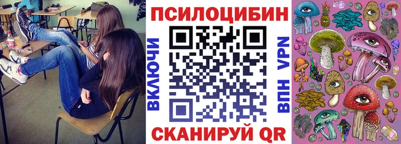 где найти   Белый  Галлюциногенные грибы Psilocybe 